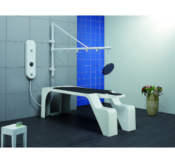 Горизонтальный душ виши "CLASSIC 5.58-4 D"