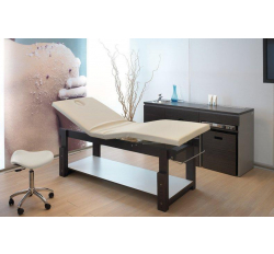 Кушетка массажная Lotus Well